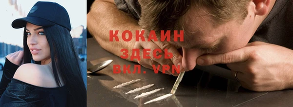 дживик Вязьма