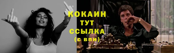 твердый Кукмор