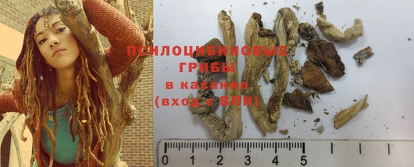 mdma Лагань