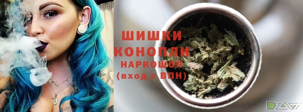 МДПВ Вяземский