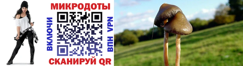 что такое   это телеграм  Галлюциногенные грибы ЛСД  Макарьев 